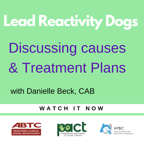 A promotional image for a video titled "Lead Reactivity Dogs: Discussing Causes & Treatment Plans with Danielle Beck, CAB." It includes logos from ABTC, APBC, and ACT, and has a "Watch it Now" instruction. Hosted online by Control The Meerkat and Danielle Beck a Clinical Animal Behaviourist based in Leigh Greater Manchester .