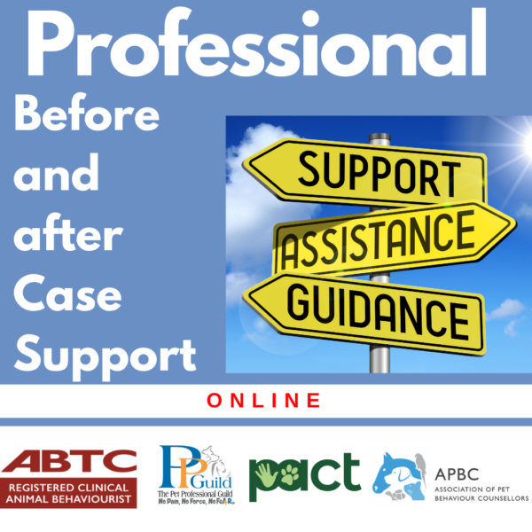 A signpost reads "Support," "Assistance," and "Guidance" against a blue sky. The text reads "Professional Before and after Case Support ONLINE" with logos of four organizations at the bottom.