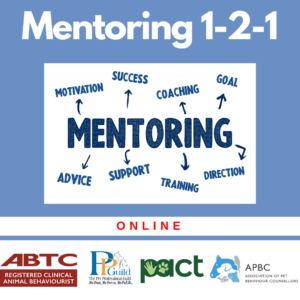 A Mentoring 1-2-1 poster highlighting keywords like motivation, success, and coaching. Logos at the bottom include ABTC, PPG, PACT, and APBC, with "ONLINE" in red letters underneath.