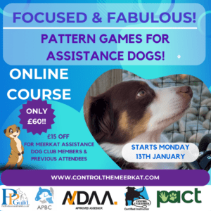 Advertisement for an online course on pattern games for assistance dogs, starting January 13th. Price is £60, with a £15 discount available.