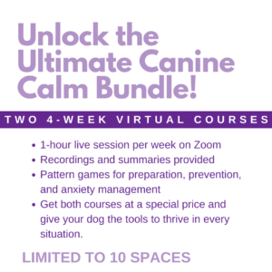 Promotional flyer for "Unlock the Ultimate Canine Calm Bundle," offering two 4-week virtual courses with live sessions, recordings, and anxiety management for dogs. Limited to 10 spaces.