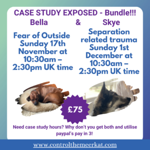 Promotional poster for a case study bundle with events on Nov 17 and Dec 1, featuring a dog and a cat picture. Price listed as £75. Website: controlthemeerkat.com.