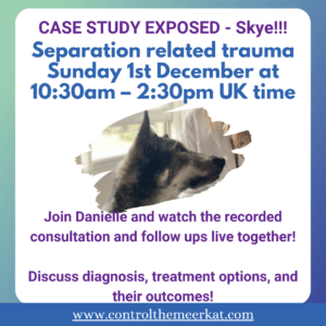 Promo for an online event on separation-related trauma in dogs, featuring a case study called "Skye." Scheduled for Sunday, December 1st at 10:30am to 2:30pm UK time.