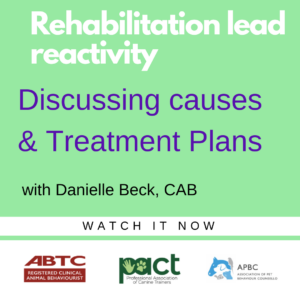 Green poster titled "Rehabilitation Lead Reactivity: Discussing Causes & Treatment Plans" with Danielle Beck, CAB. Logos for ABTC, PACT, and APBC. Text reads "Watch it now.