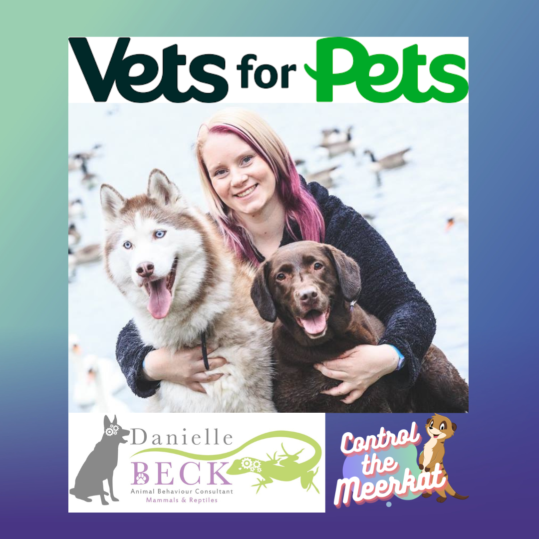 Danielle sits with her previous dogs a red and white husky and a chocolate labrador, with the company logos