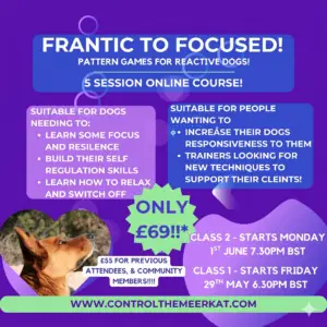 Frantic to Focused - Summer 2026 - ONLY FRIDAYS AVAILABLE