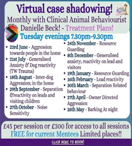 Bundle 2026 2027 Case shadowing sessions