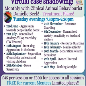 Bundle 2026 2027 Case shadowing sessions