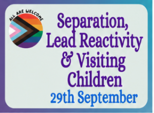 A sign with a rainbow pride flag and the text "All Are Welcome." Large purple text reads "Separation, Lead Reactivity & Visiting Children," with "29th September" in blue at the bottom.