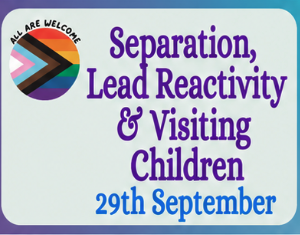 A sign with a rainbow pride flag and the text "All Are Welcome." Large purple text reads "Separation, Lead Reactivity & Visiting Children," with "29th September" in blue at the bottom.
