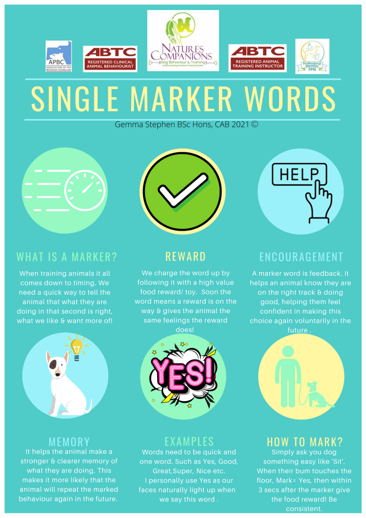 Infographic featuring single marker words from Barney Rehabilitation Project.